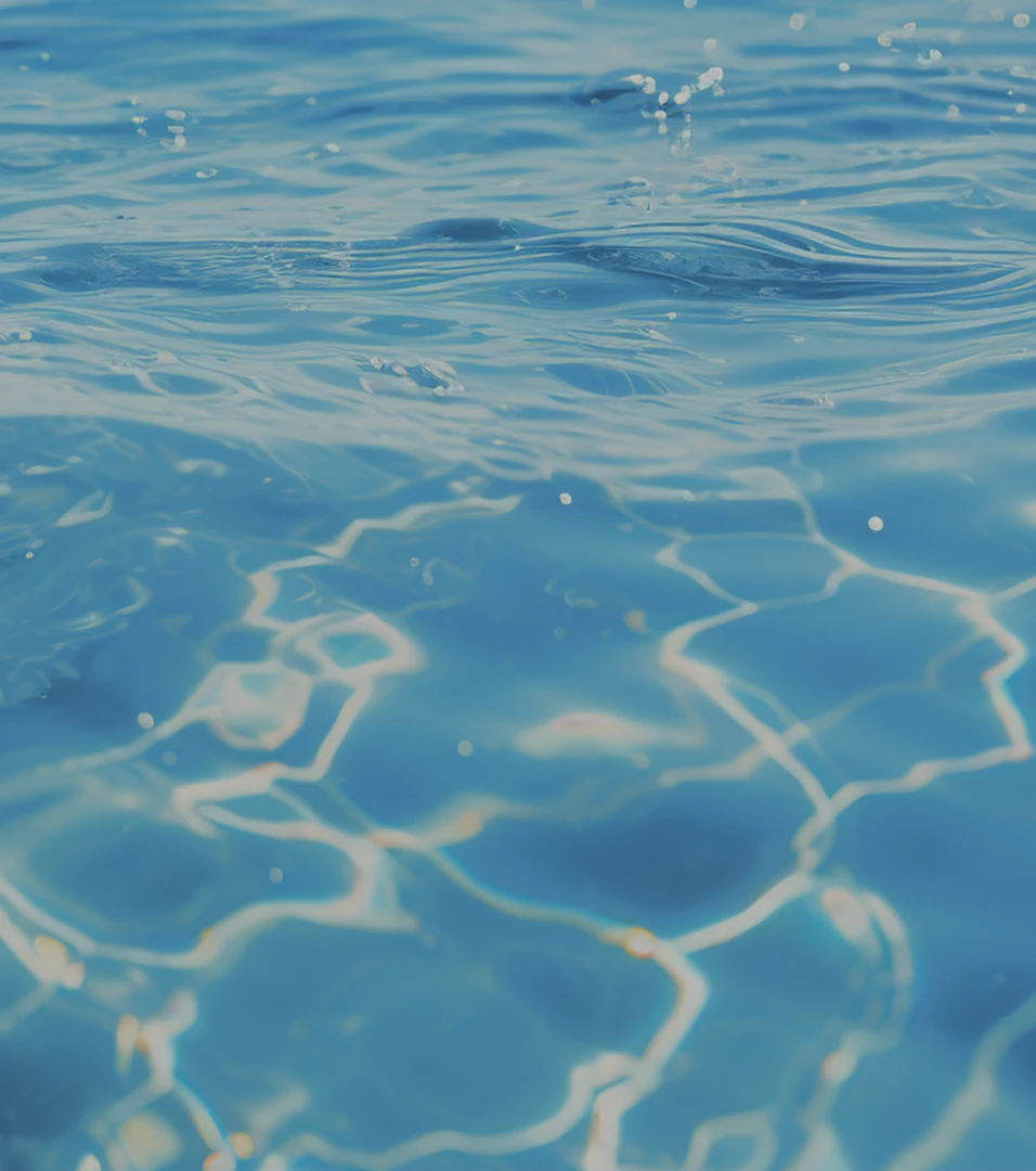 sea